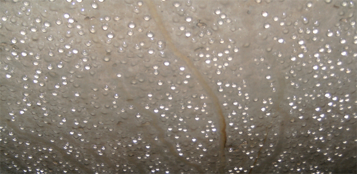 Конденсат при неправильном утеплении